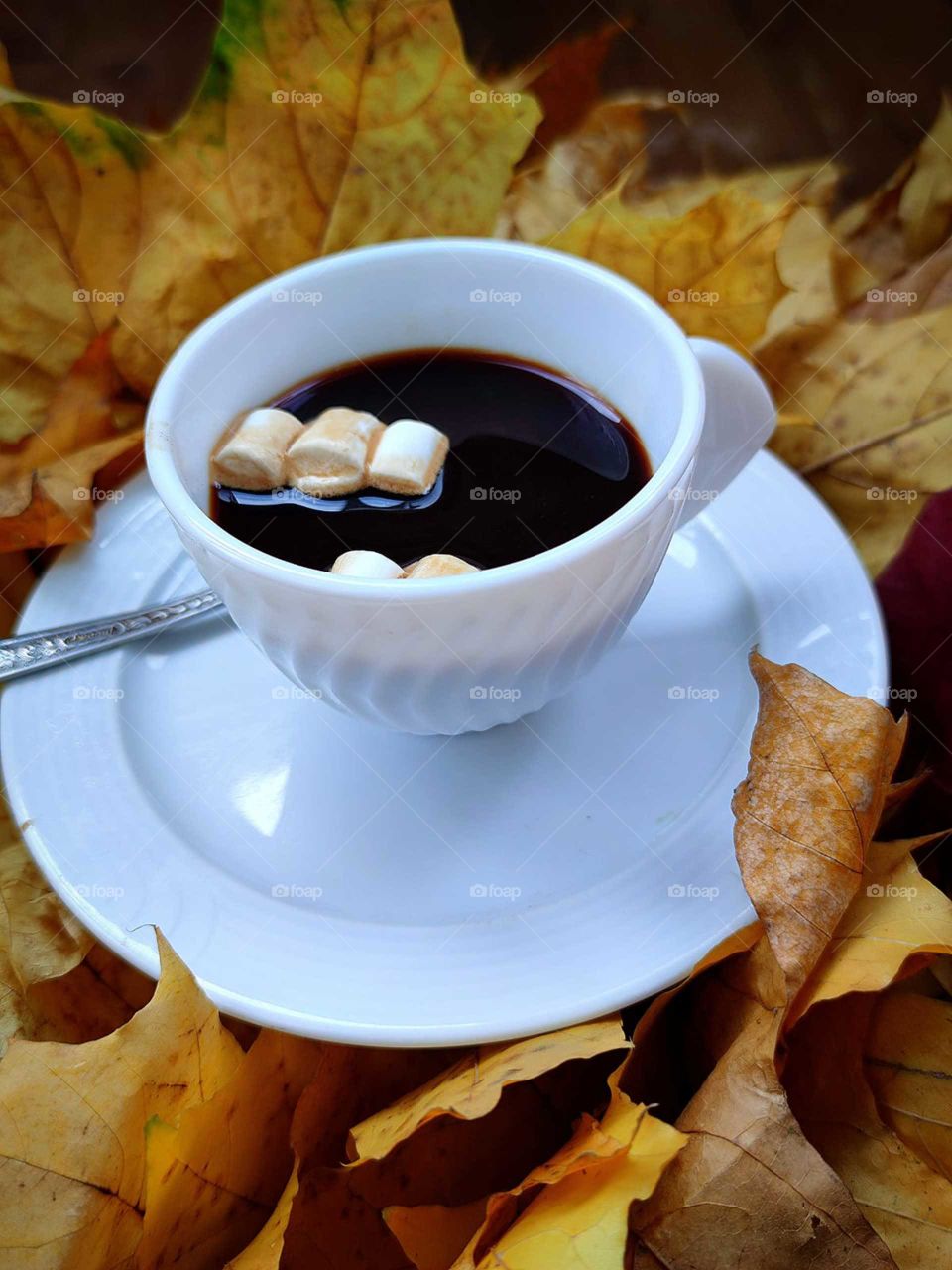 White cup with black coffee and white marshmallows.  The cup stands on the autumn leaves
