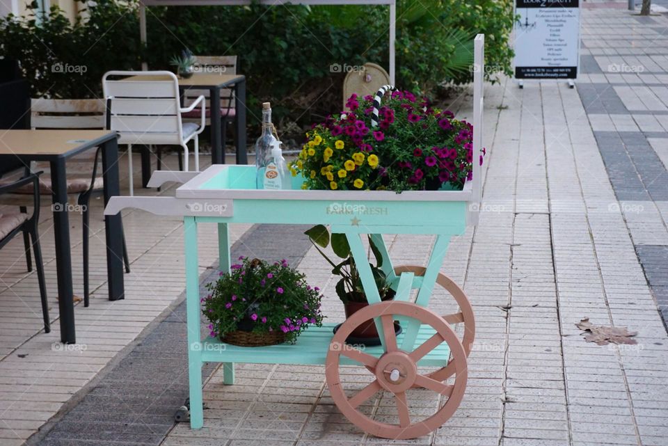 Coffee#terrace#flowers