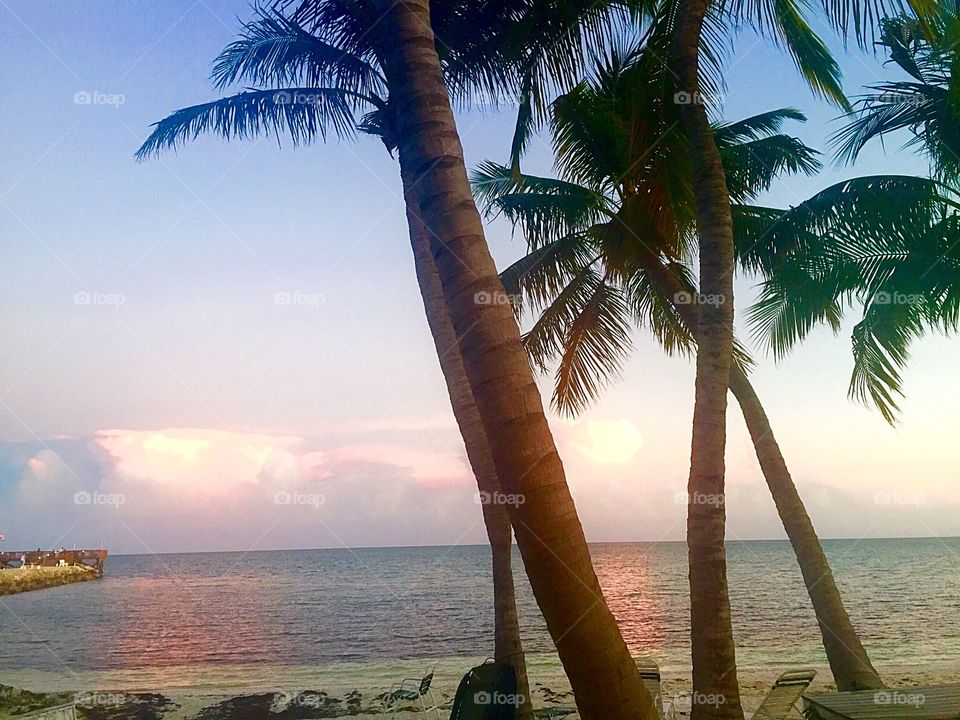 Beach, ocean, sun, keys