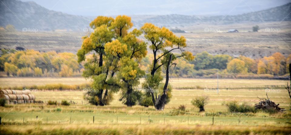 Wyoming in the Fall