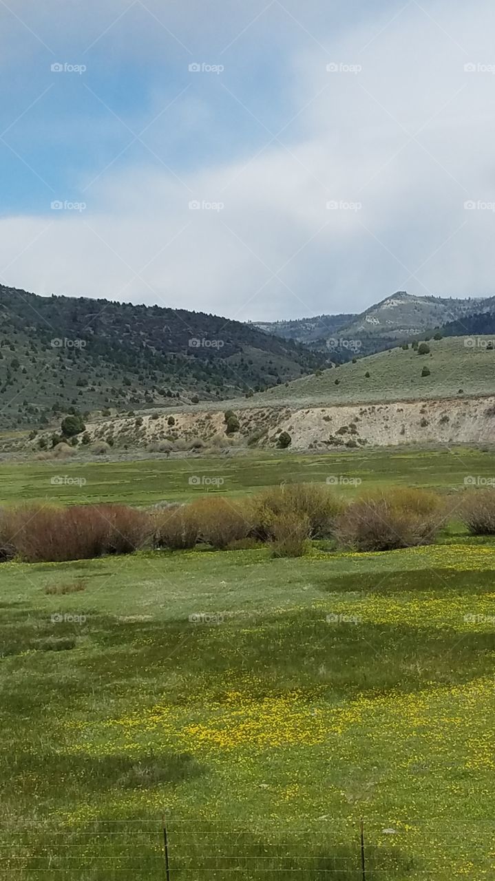 Utah