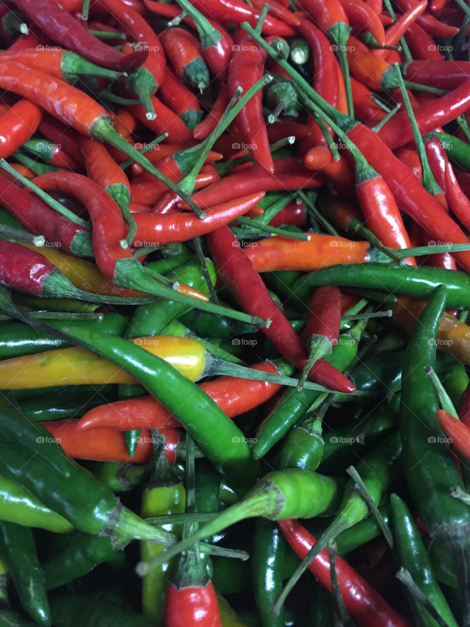 Fresh  chili 