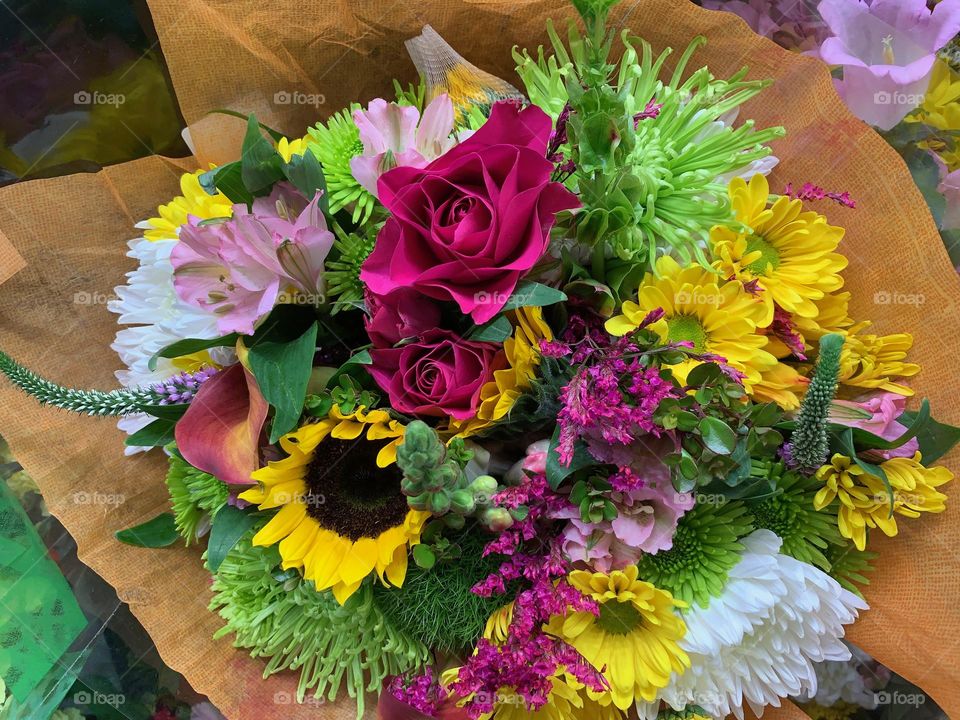 Festive flowers in multiple colors.