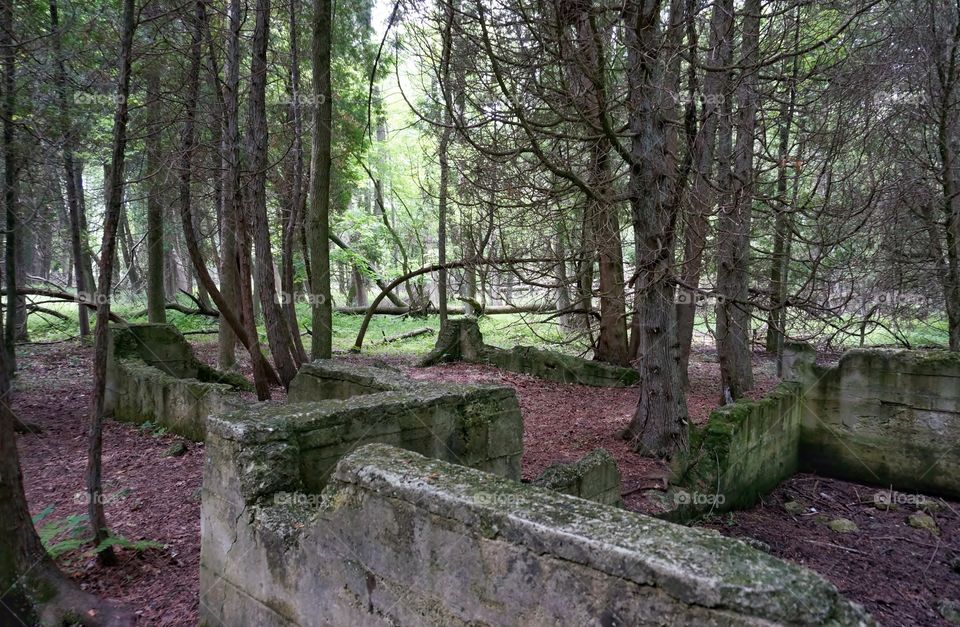 Nature. Relics of Lakeshore Stone Company