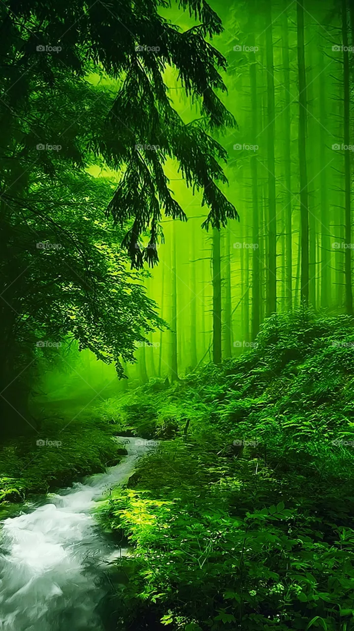natural sky green three view