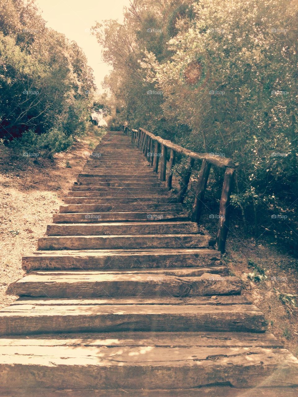 Editors' Choice: Photo of the Week