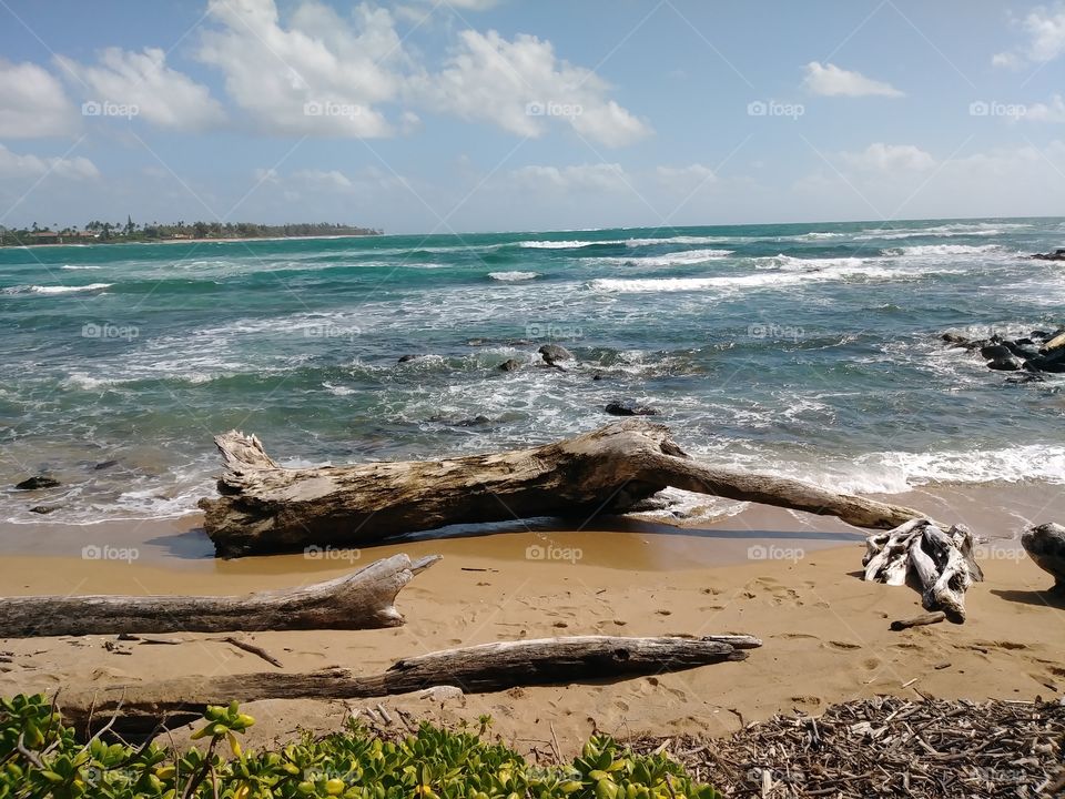 beach on Hilo Hawaii