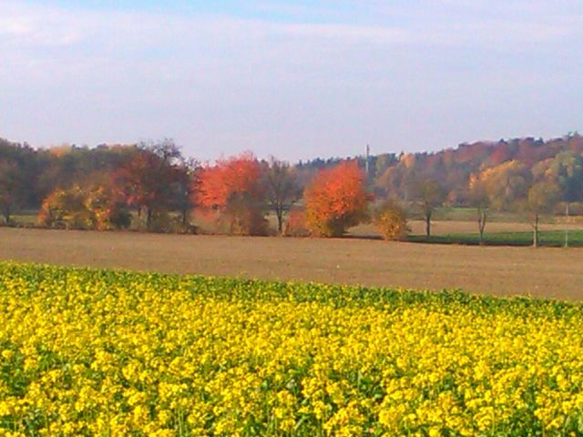 colors of nature