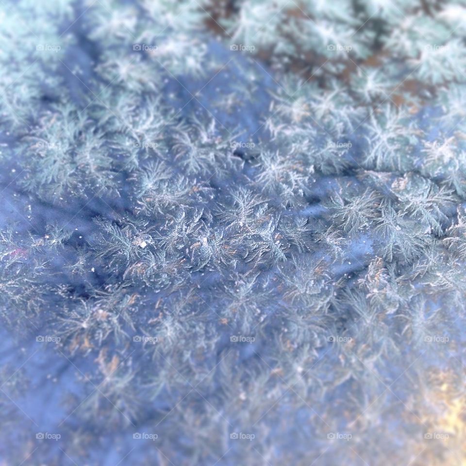 View of snowflakes