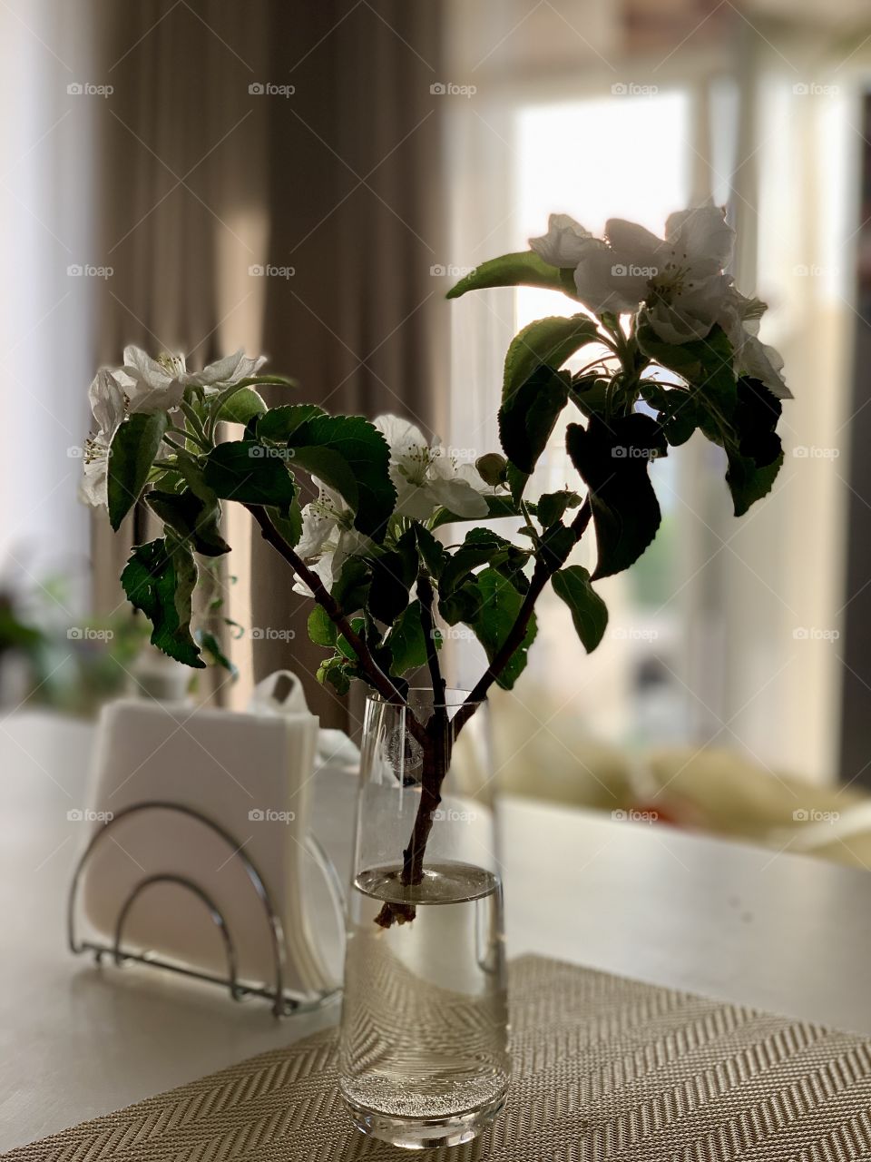 blossoming apple tree branch stands in a transparent glass vase on the kitchen table