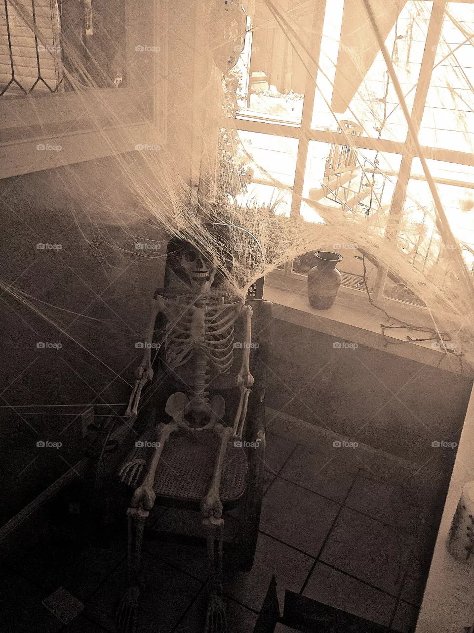 Mr. Bones 
