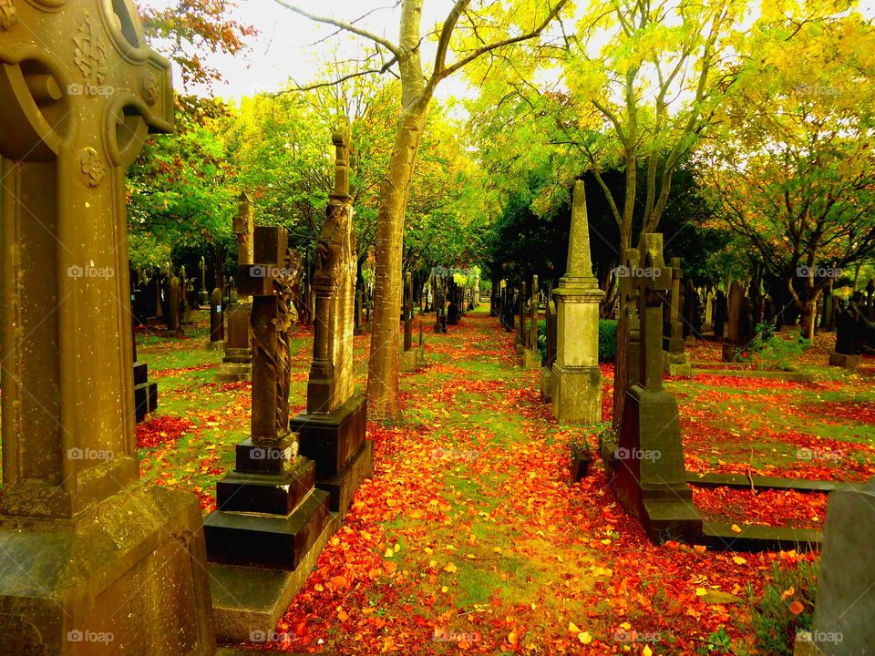 Glasnevin Cemetery in Dublin's fair city.