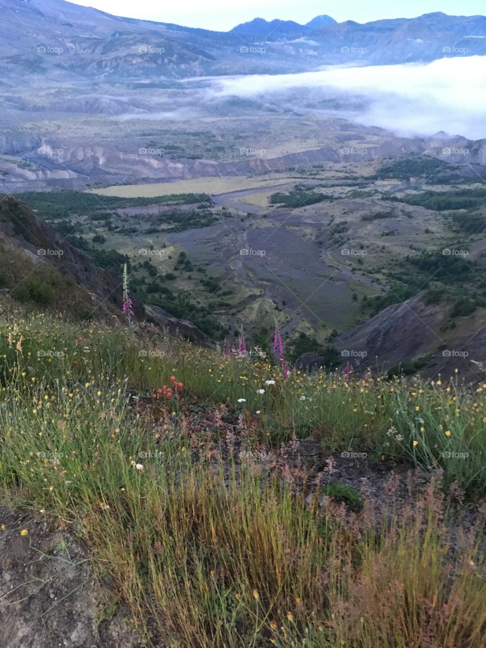 Mt.  St. Helen’s overlook the valley 