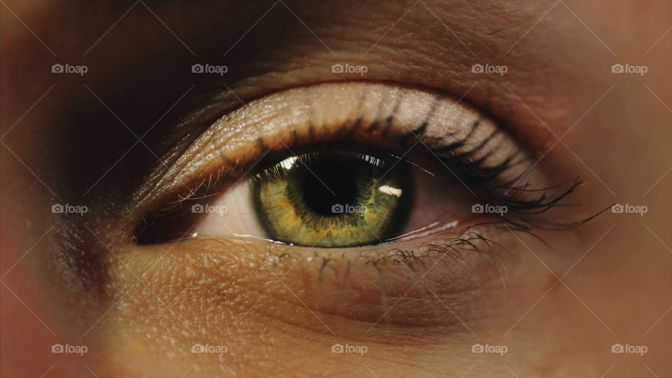 Macro eye