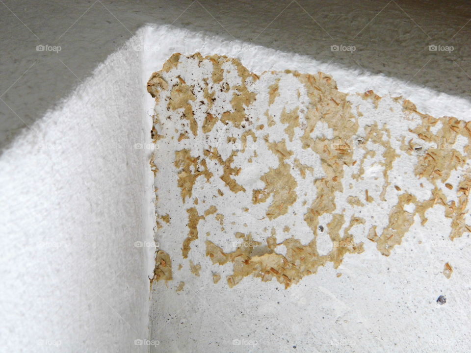 old wall old house have more mold and bacteria, erode corrupt