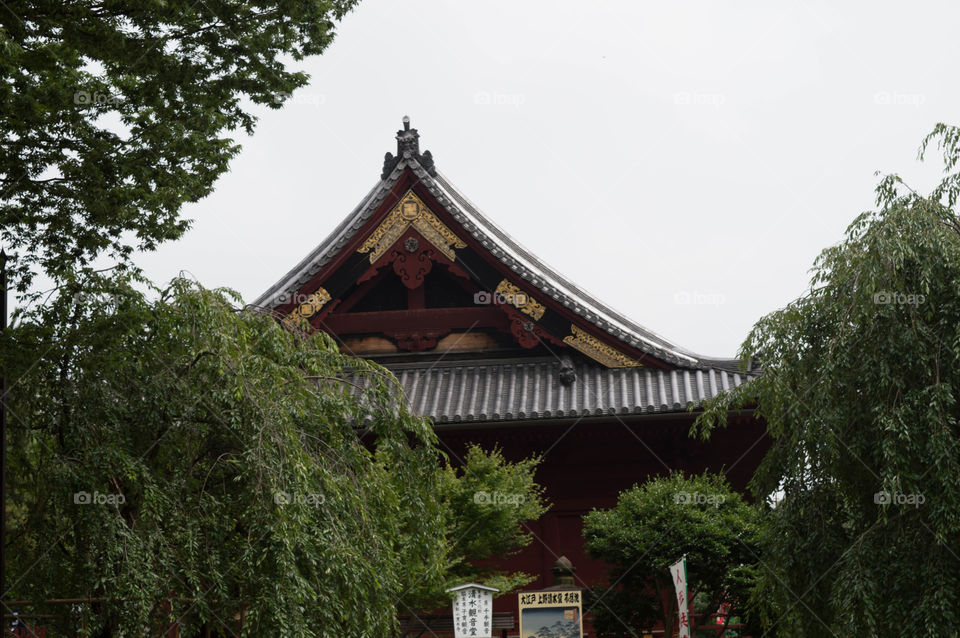 japanese shrine. shrine at ueno park