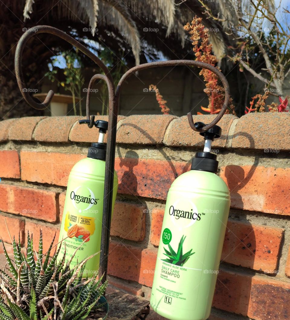Organics Daily Care 2-in1, Shampoo and Conditioner