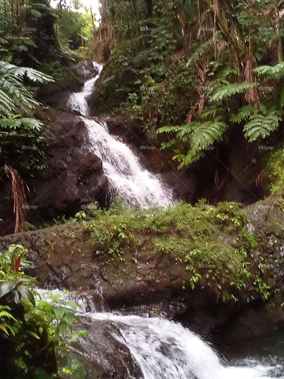 A falling cascade of water splashing down on rocks making the best sound!