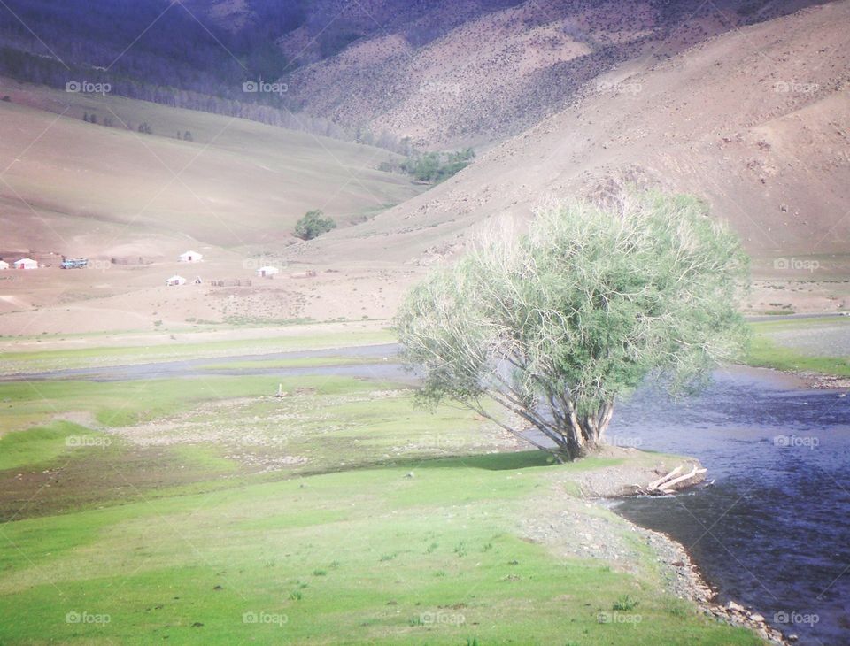 landscape in Mongolia