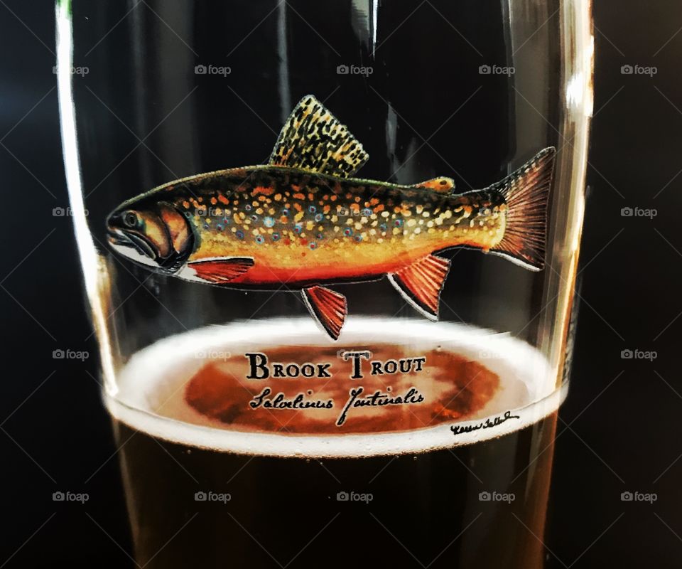 Brook trout