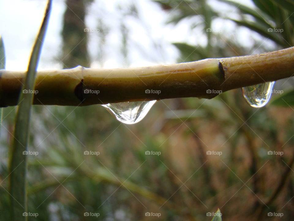 Water drops