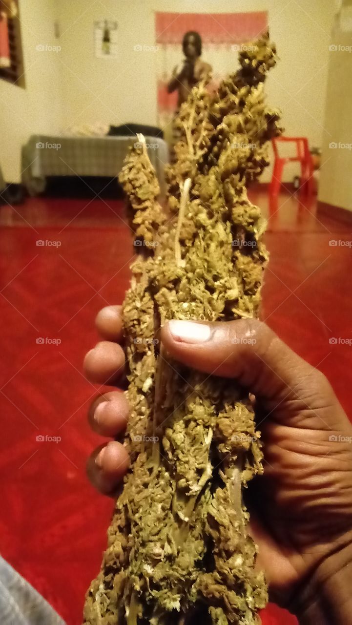 good jamaican weed