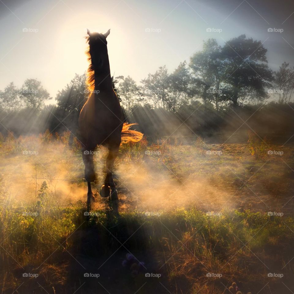 If I had to count my blessings one day, I will count you a thousand times