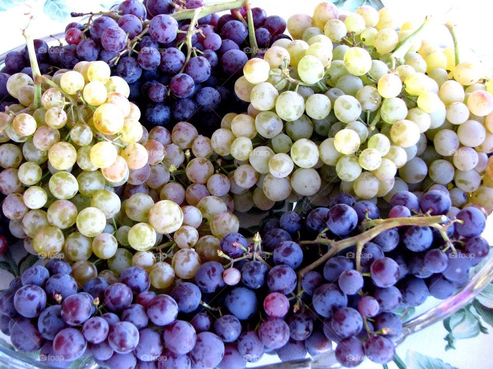 Grapes 