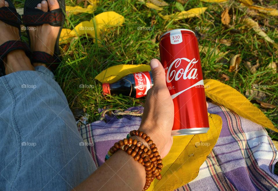 picnic in the park