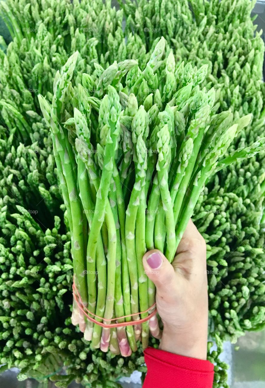 Hand bundle asparagus