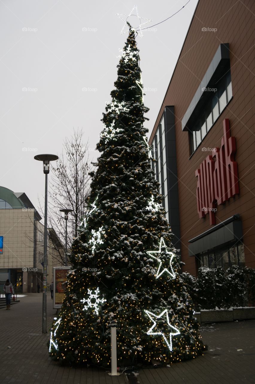 Christmas tree in the town. Slovakia