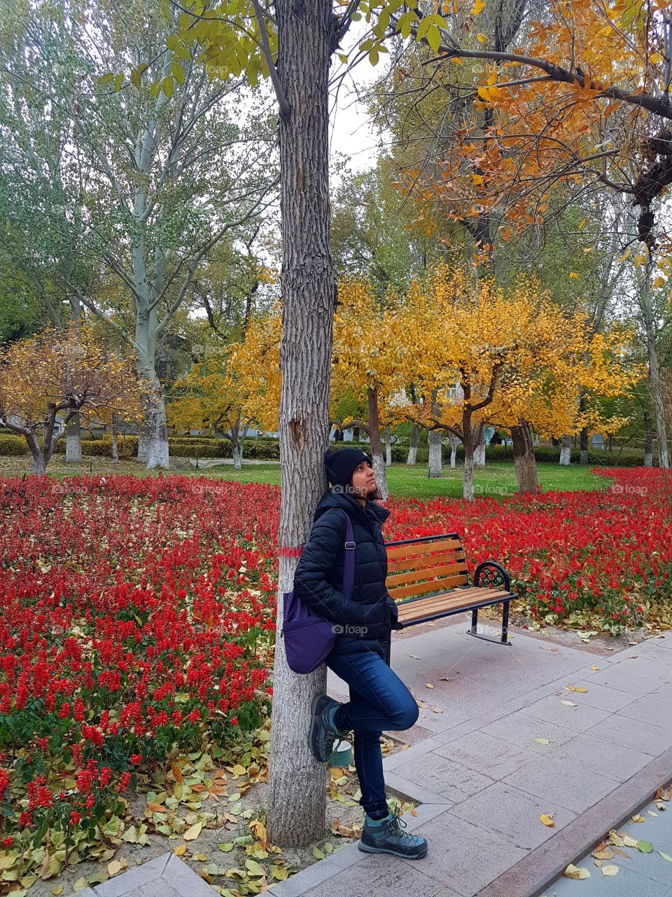 Autumn colors in People's Park, Urumqi, China