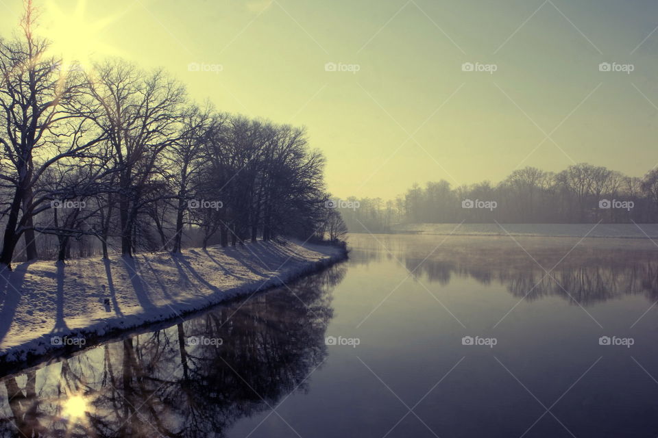 Dawn, No Person, Tree, Water, Landscape