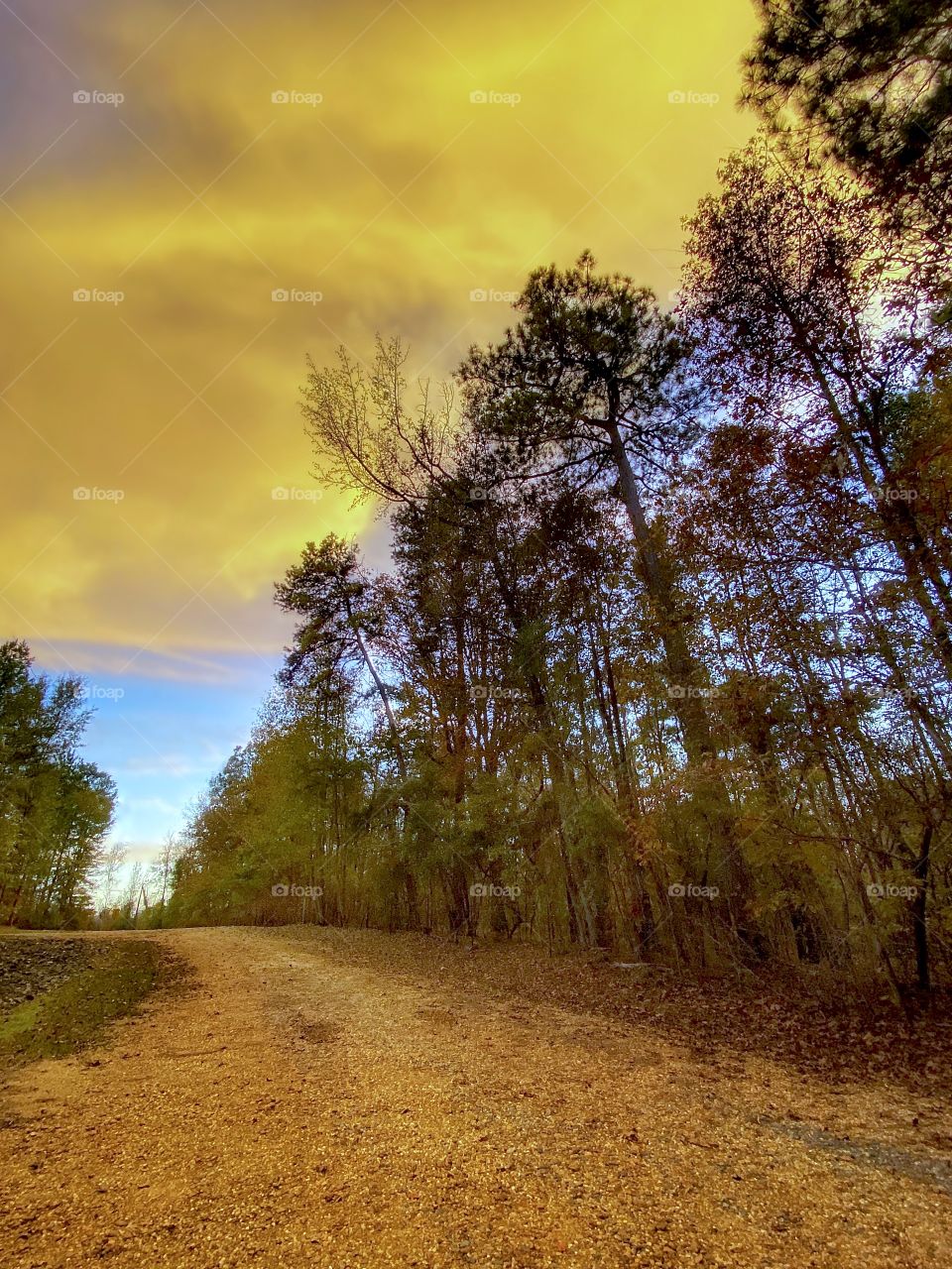 Yellow Cloud Road