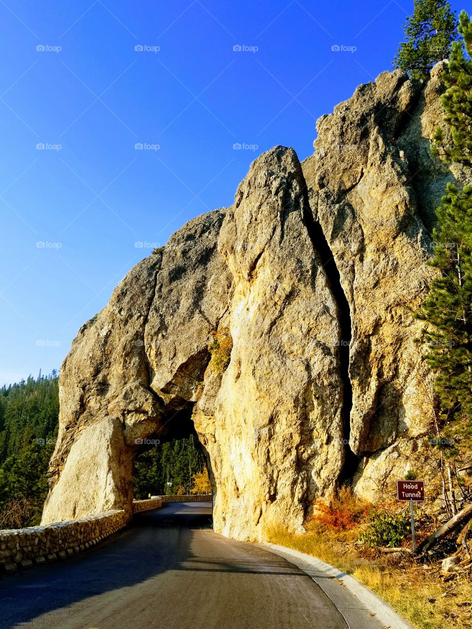 Needles Highway