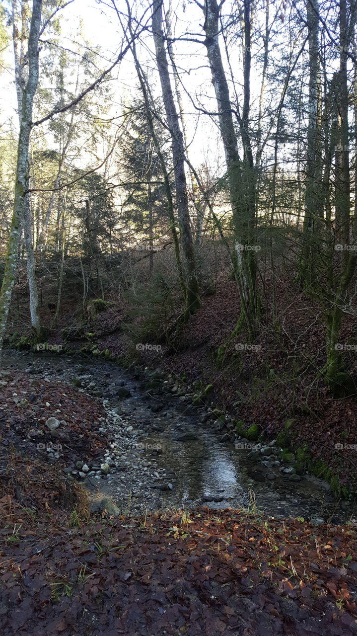 A sunny day in mountain