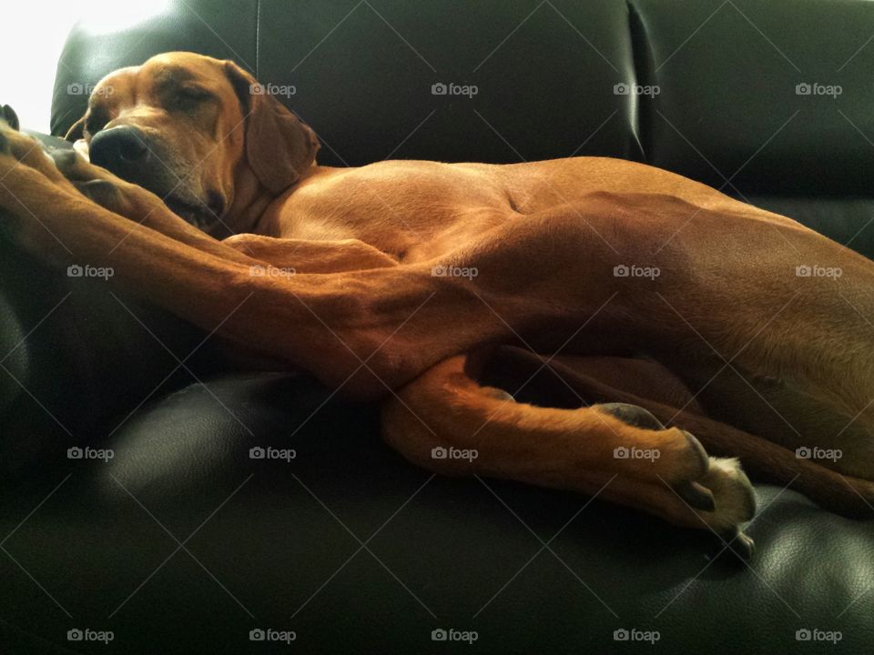 on the sofa with legs propped up