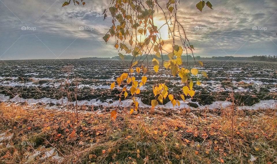 This is in Voronezh Region in Russia. Stoped by to stretch and took this picture.