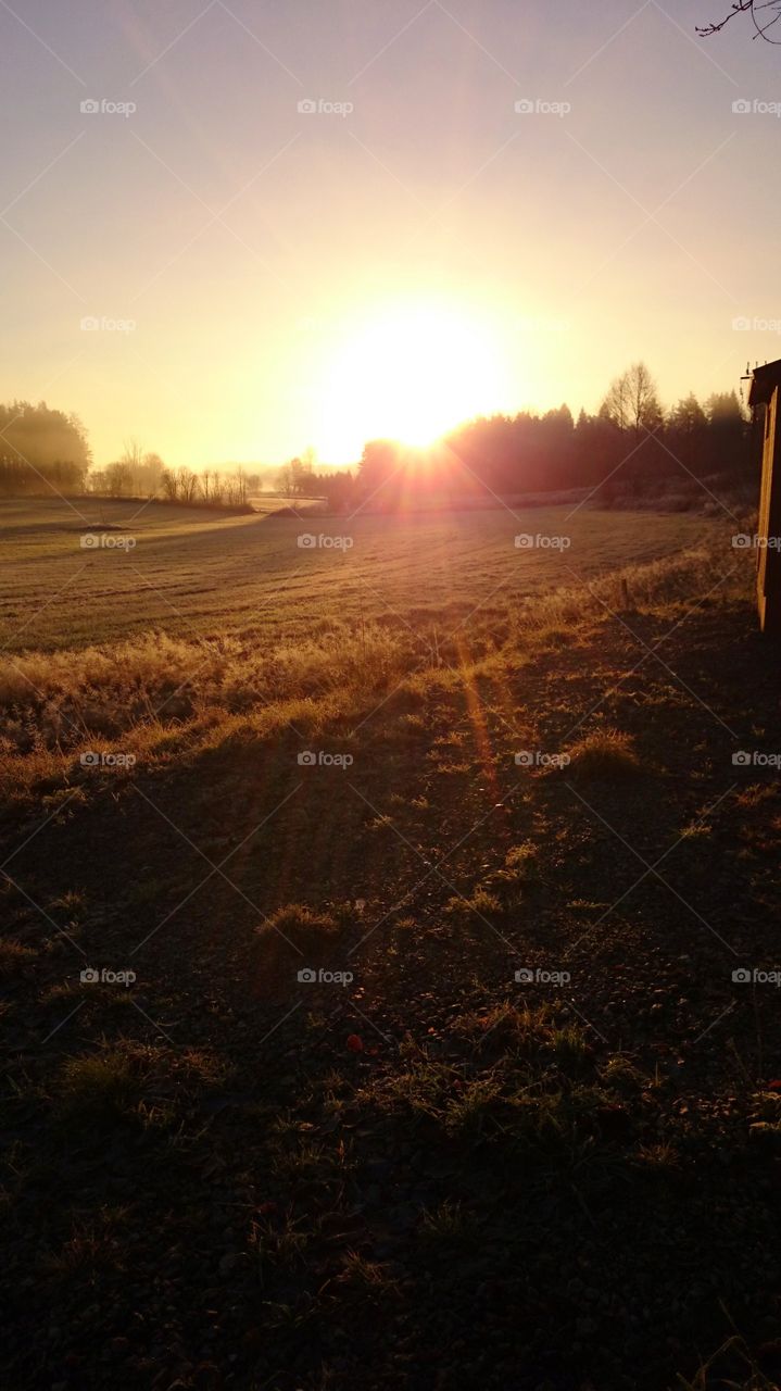 Sunrays a early winter morning