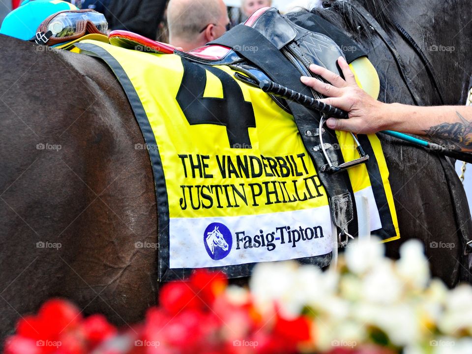 The Vanderbilt Winner. Justin Phillip captured the Vanderbilt stakes at Saratoga with jockey John Velasquez. Saddle cloth #4. 
Fleetphoto. 
