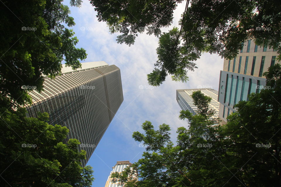 building with nature