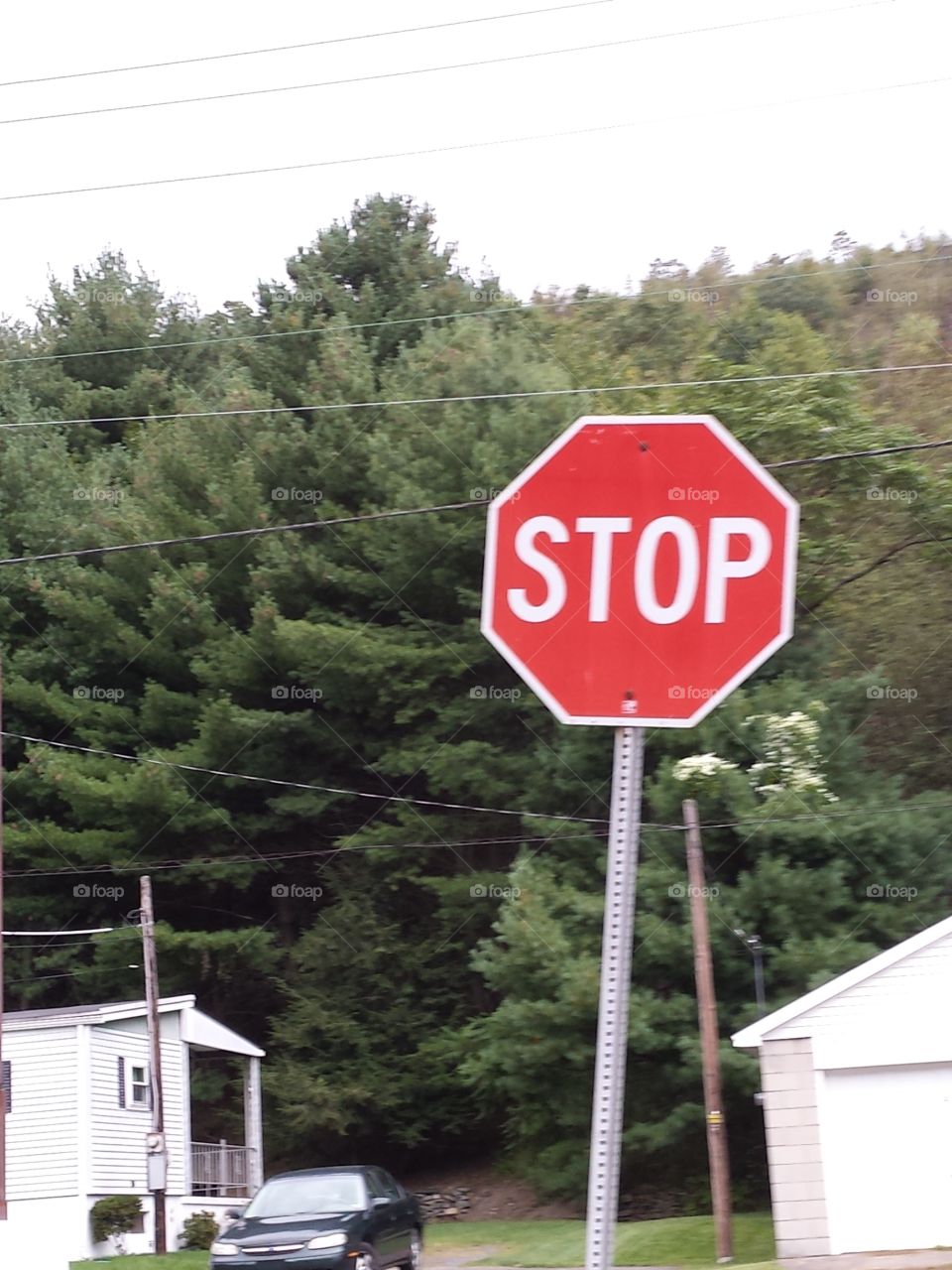 Stop sign in a forested area.