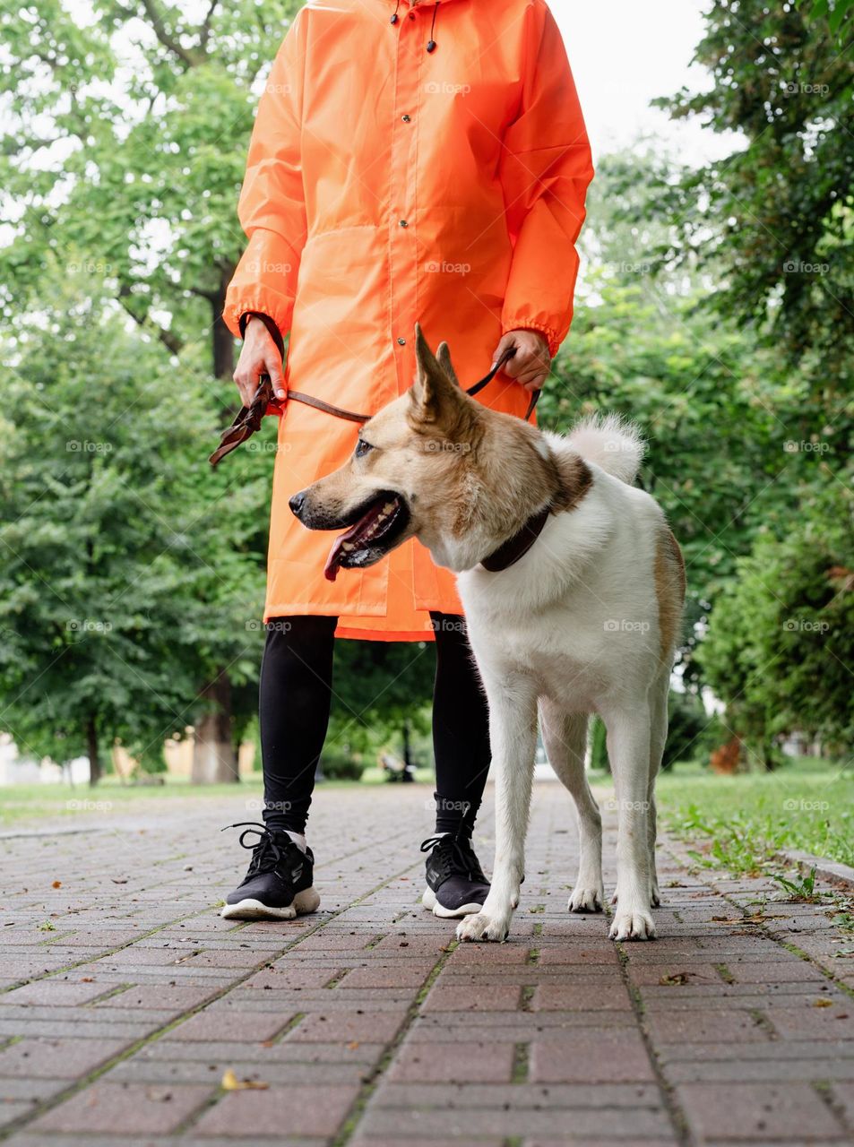 woman and her dog