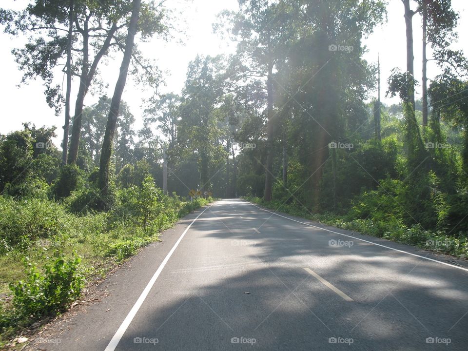 Nature Thailand 