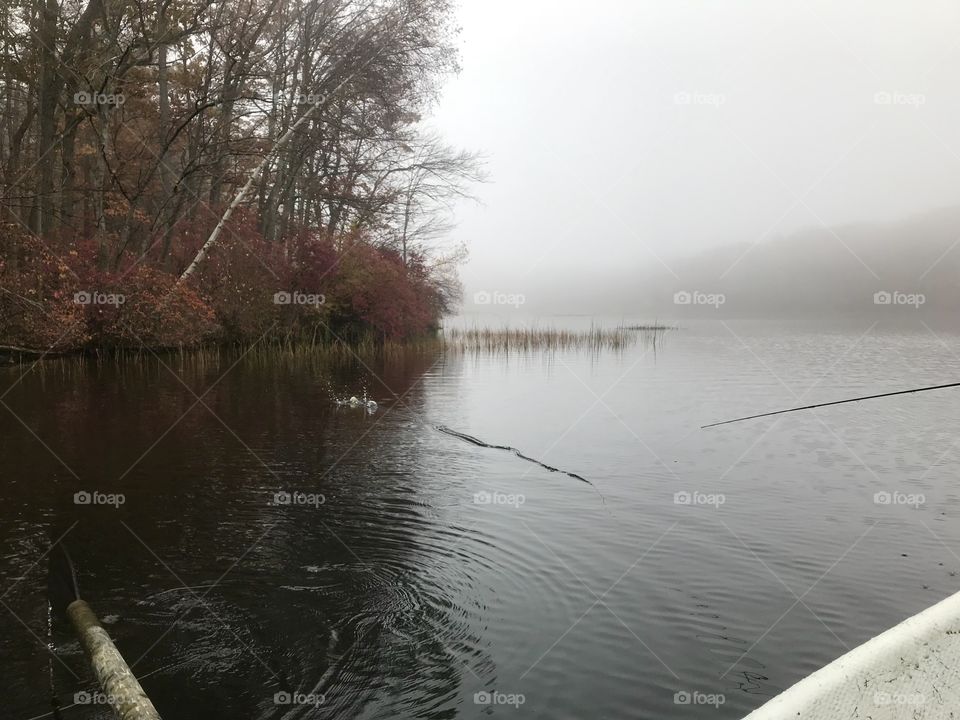 Misty morning fly fishing