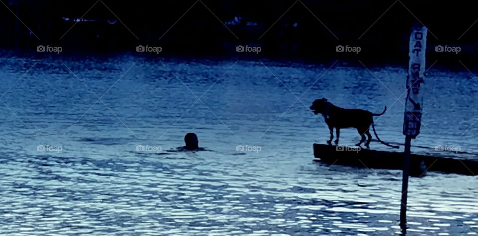 Man swimming with his dog watching