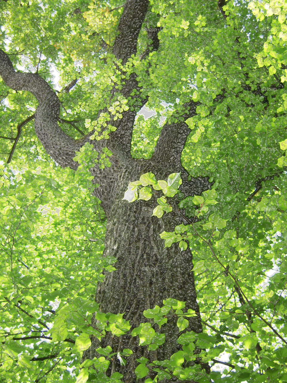 Tall tree textured design