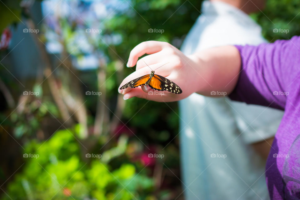 Small Butterfly on a Young Girls Hand
