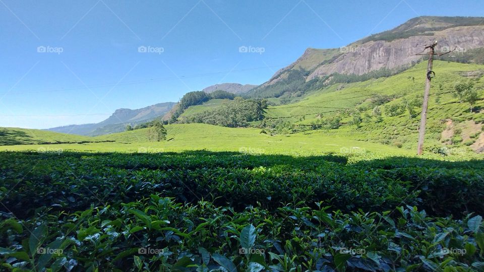 A walk in nature walks the soul back home.” – ...