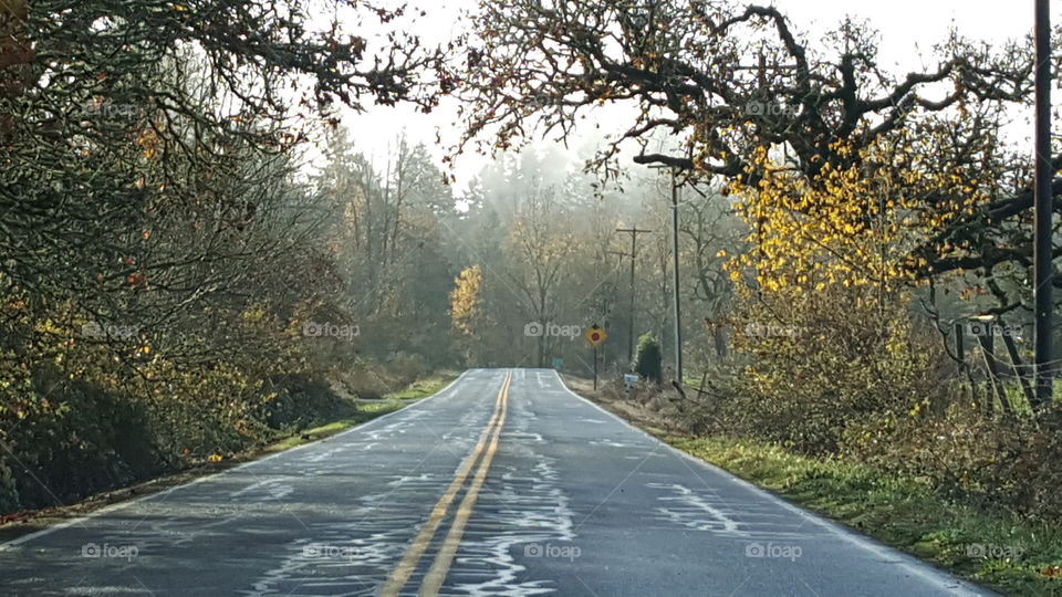 Early spring road in Oregon